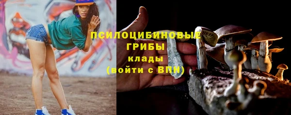 гашик Алексеевка