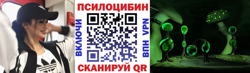 Псилоцибиновые грибы прущие грибы  где найти   блэк спрут как войти  Алушта 